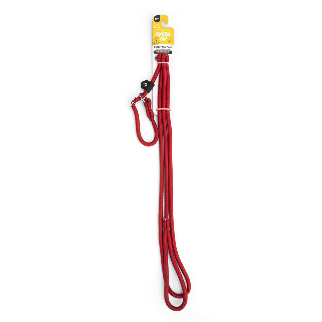 Training Rope Slip Lead for Dogs F249