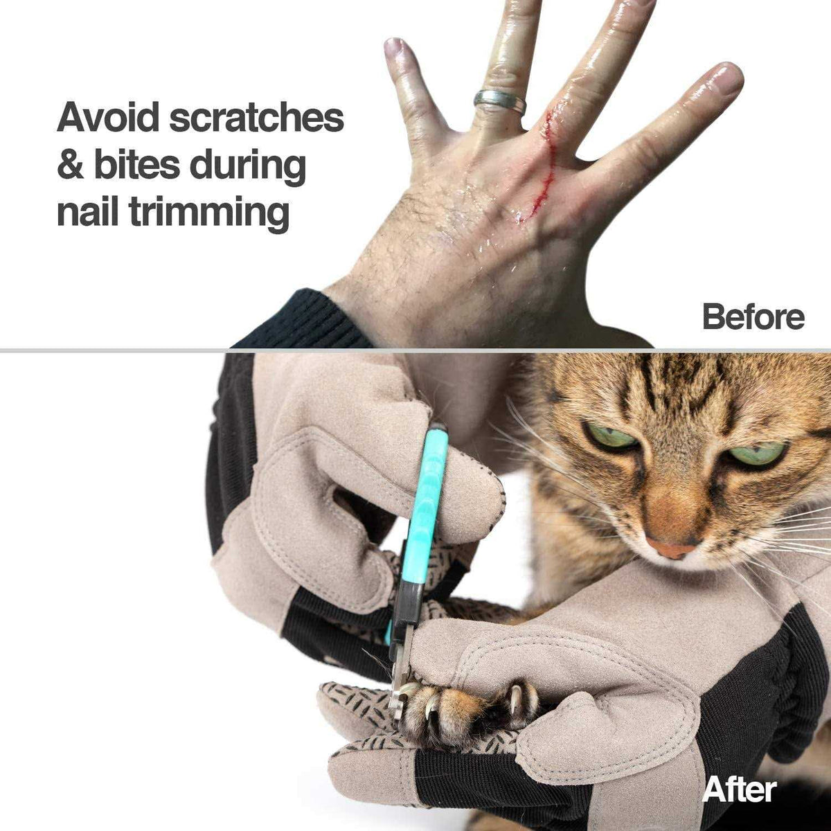 Multipurpose Pet Grooming Glove X5053