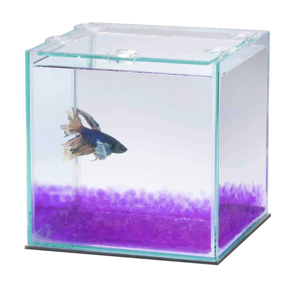 Betta Beads T619480