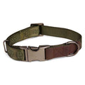 Dog Collar B55651