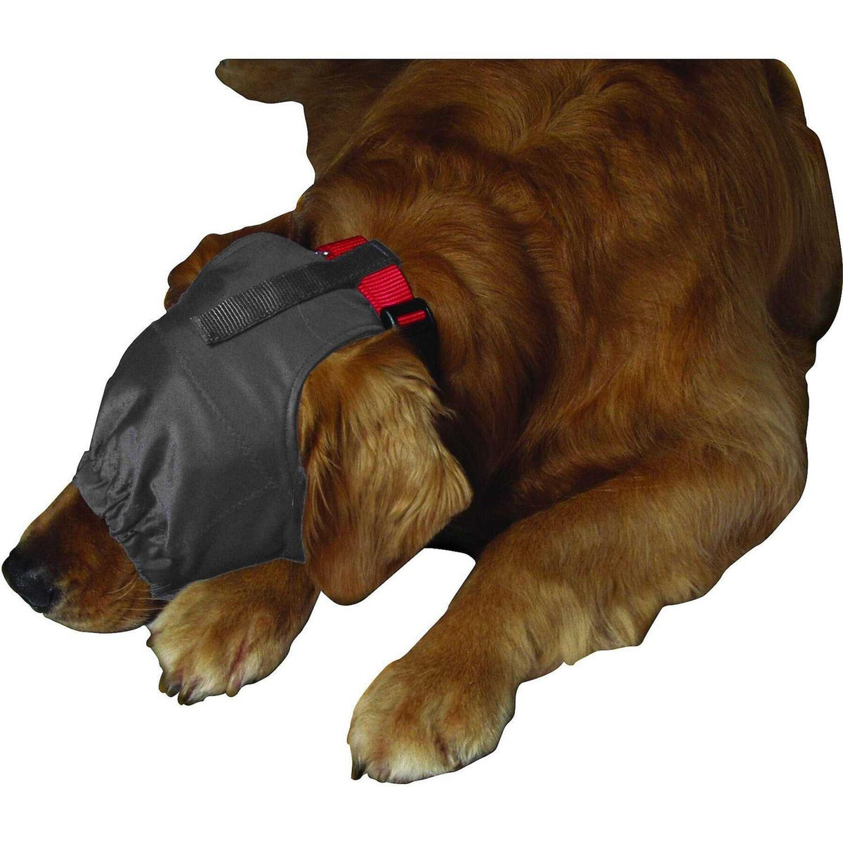Calming Cap A53476