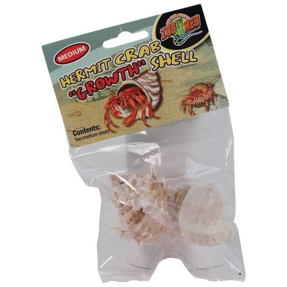 Hermit Crab Shell H622