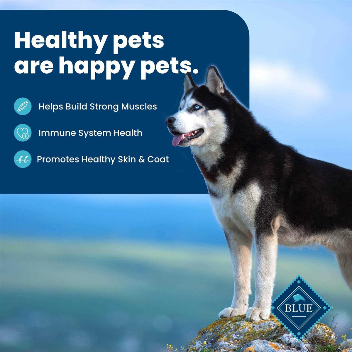 Adult Dry Dog Food X57578