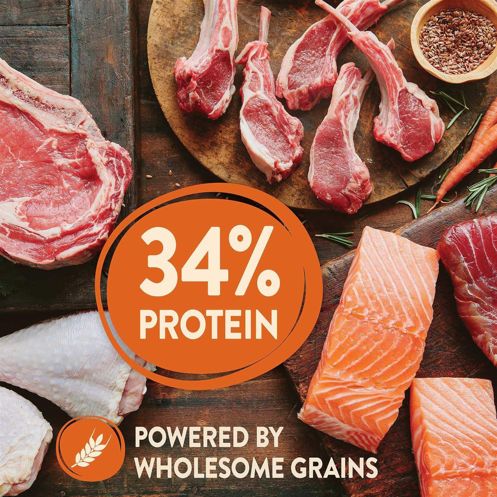 High Protein Wholesome Grains Dry Dog Food C119099