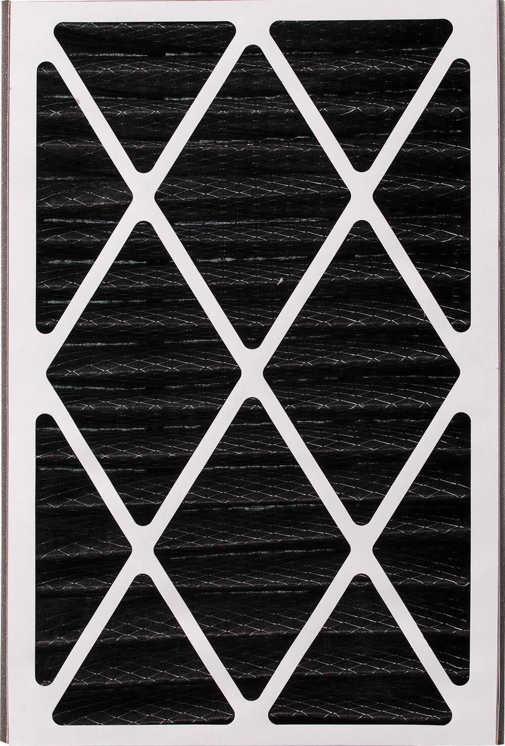 16x25x5 MERV 12 Pleated Carbon Air Filter Qty 2 F717391