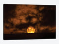 Canvas Art African Sunset Print Y77057