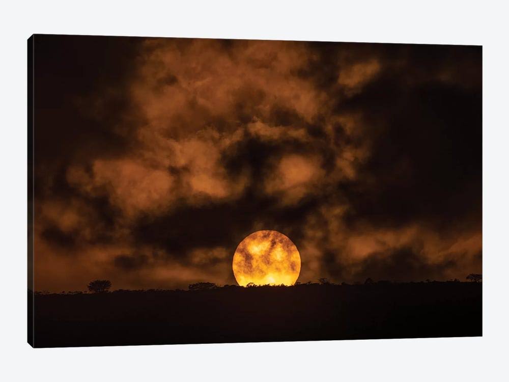Canvas Art African Sunset Print Y77057