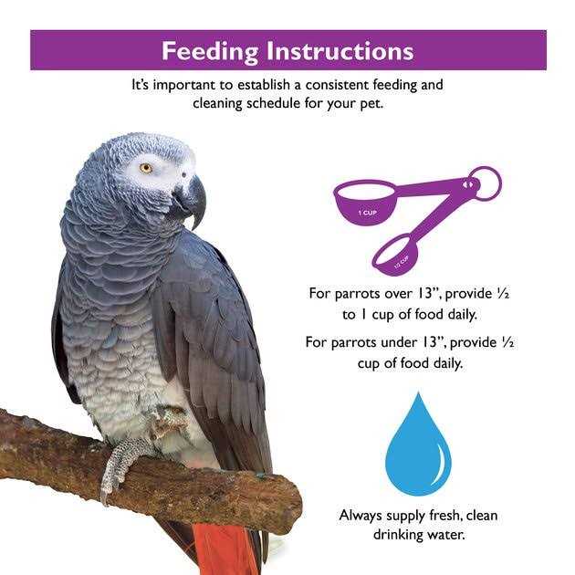 Parrot Food X874