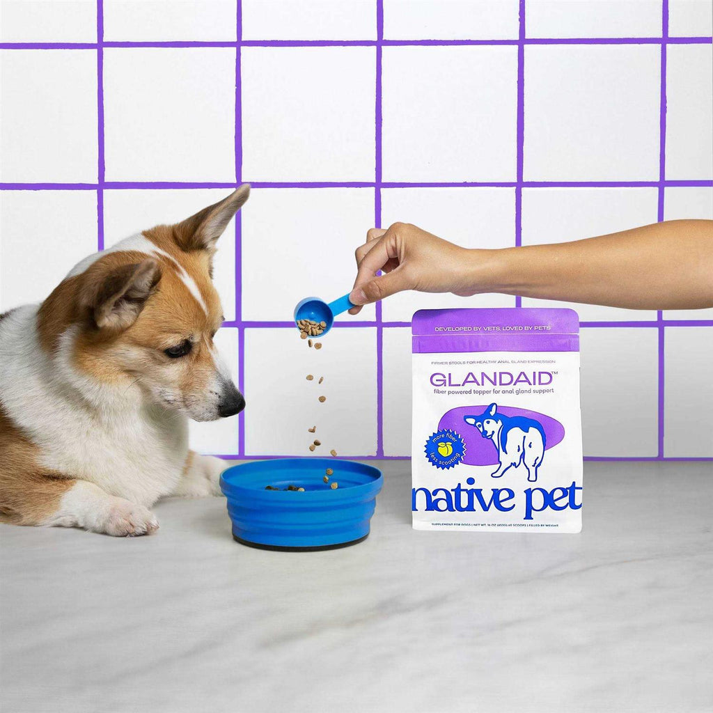 Anal Gland Supplement for Dogs D574672