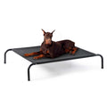 Large Elevated Cooling Outdoor Dog Bed T720