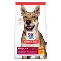 Adult Dog Food Chicken & Barley P55848