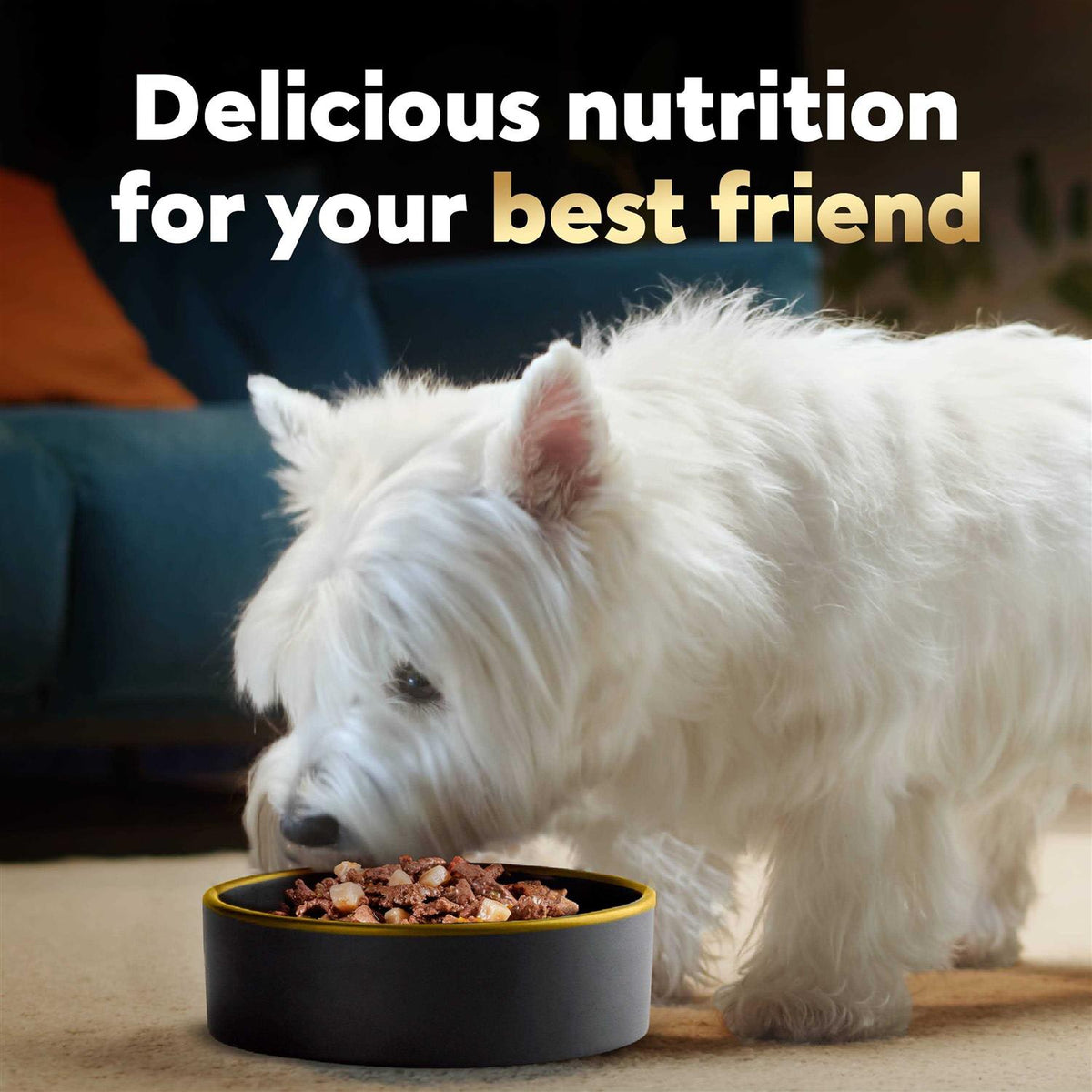 Vegetables Dog Food N97885