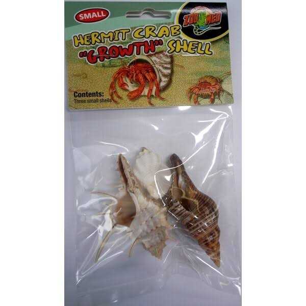 Hermit Crab Shell H622