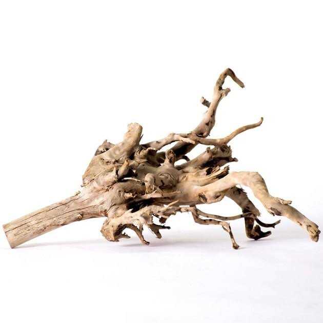 Spider Wood F70194