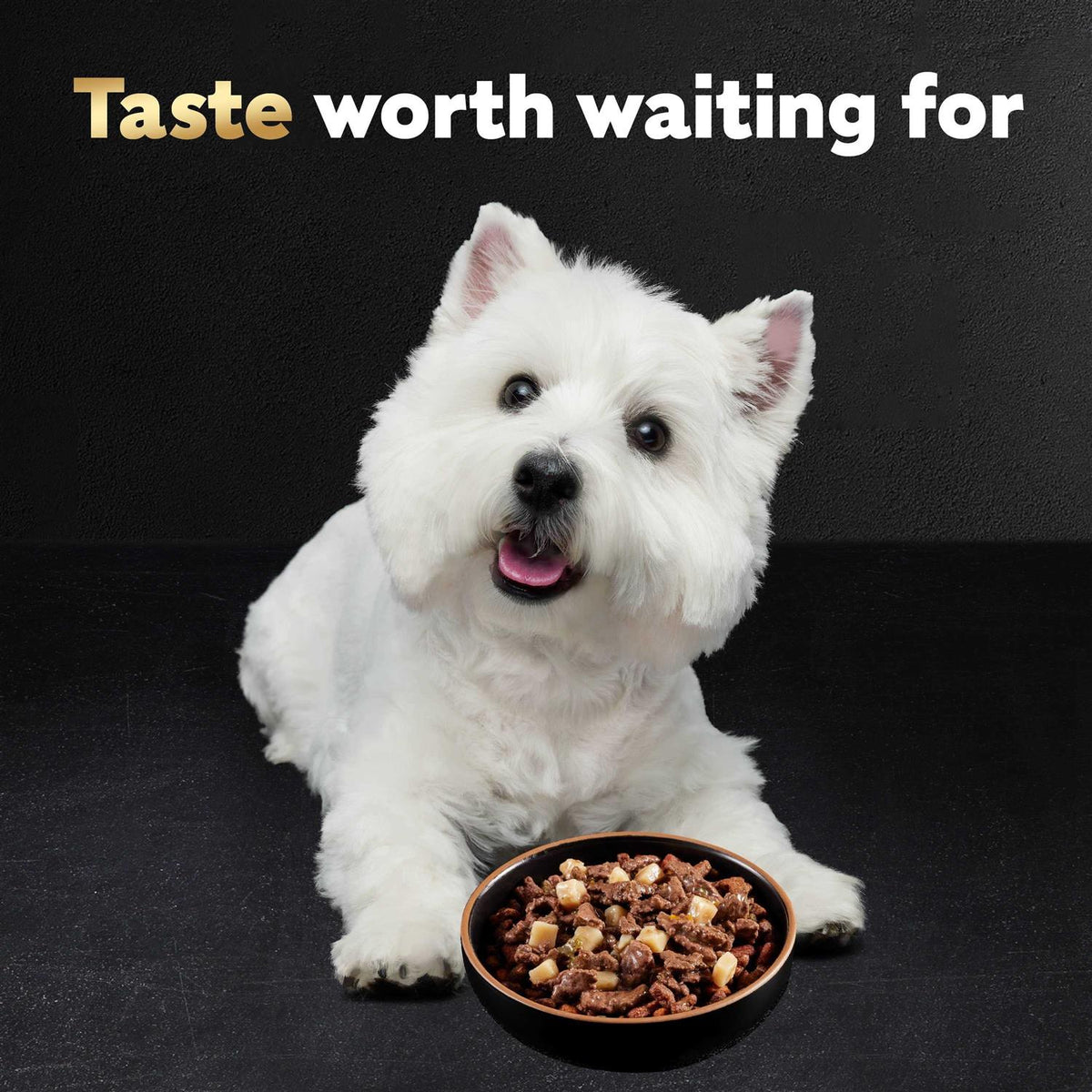 Vegetables Dog Food N97885