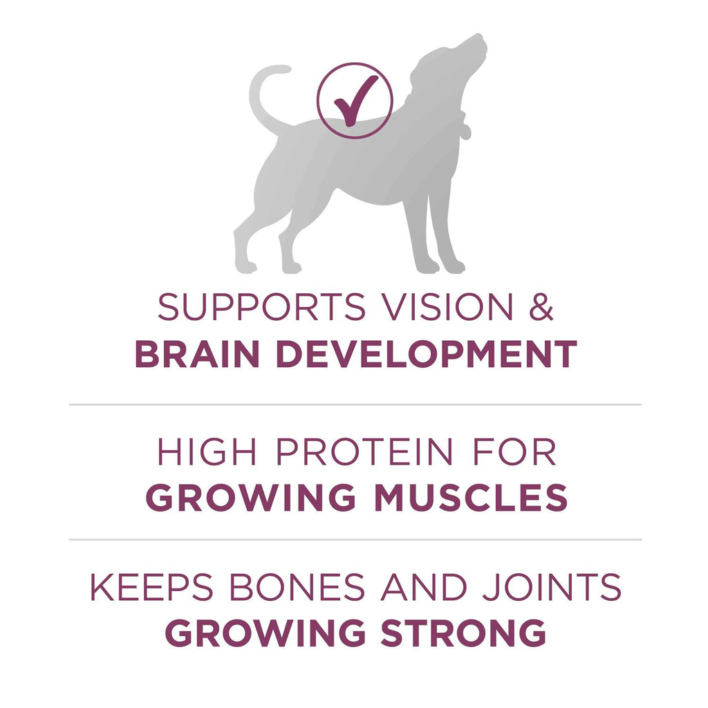 High Protein Dry Dog Food P518