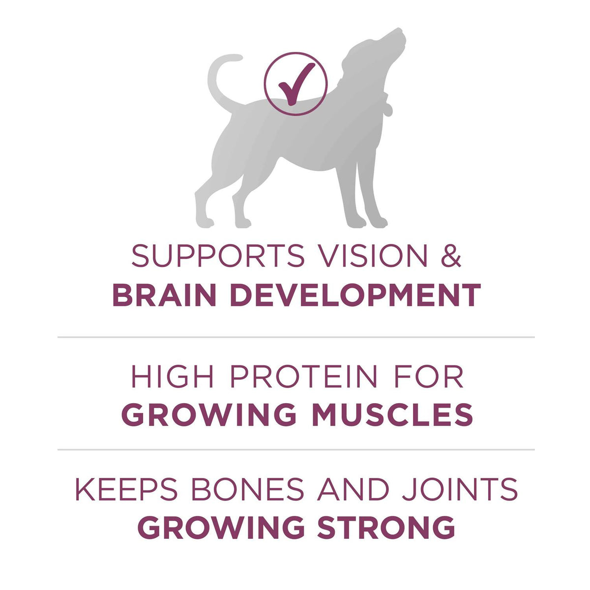 High Protein Dry Dog Food P518