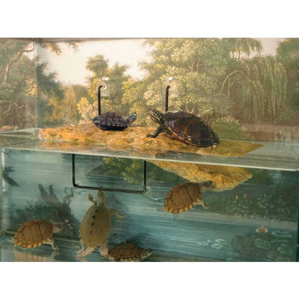 Floating Turtle Dock U100