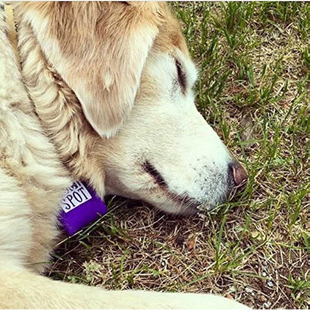Pet Tag Silencer L997