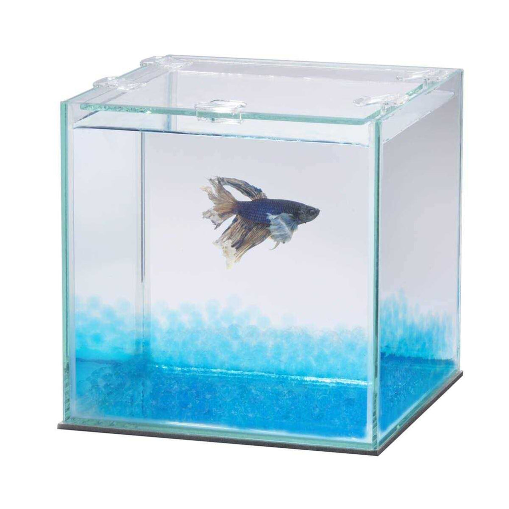 Betta Beads T619480