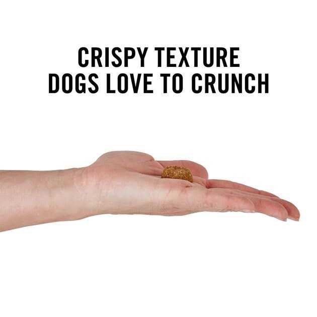 Peanut Butter Grain-Free Oven Baked Crunchy Biscuit Dog Treats L843
