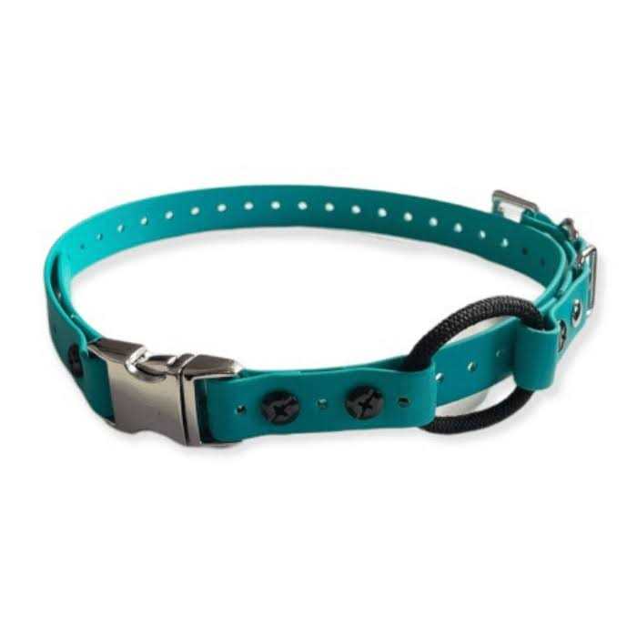 Bungee Collar I632732