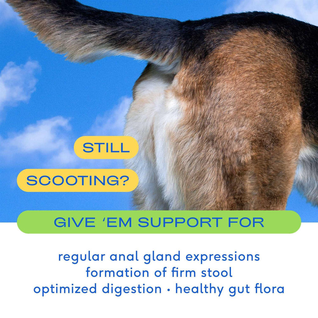 Anal Gland Supplement for Dogs D574672