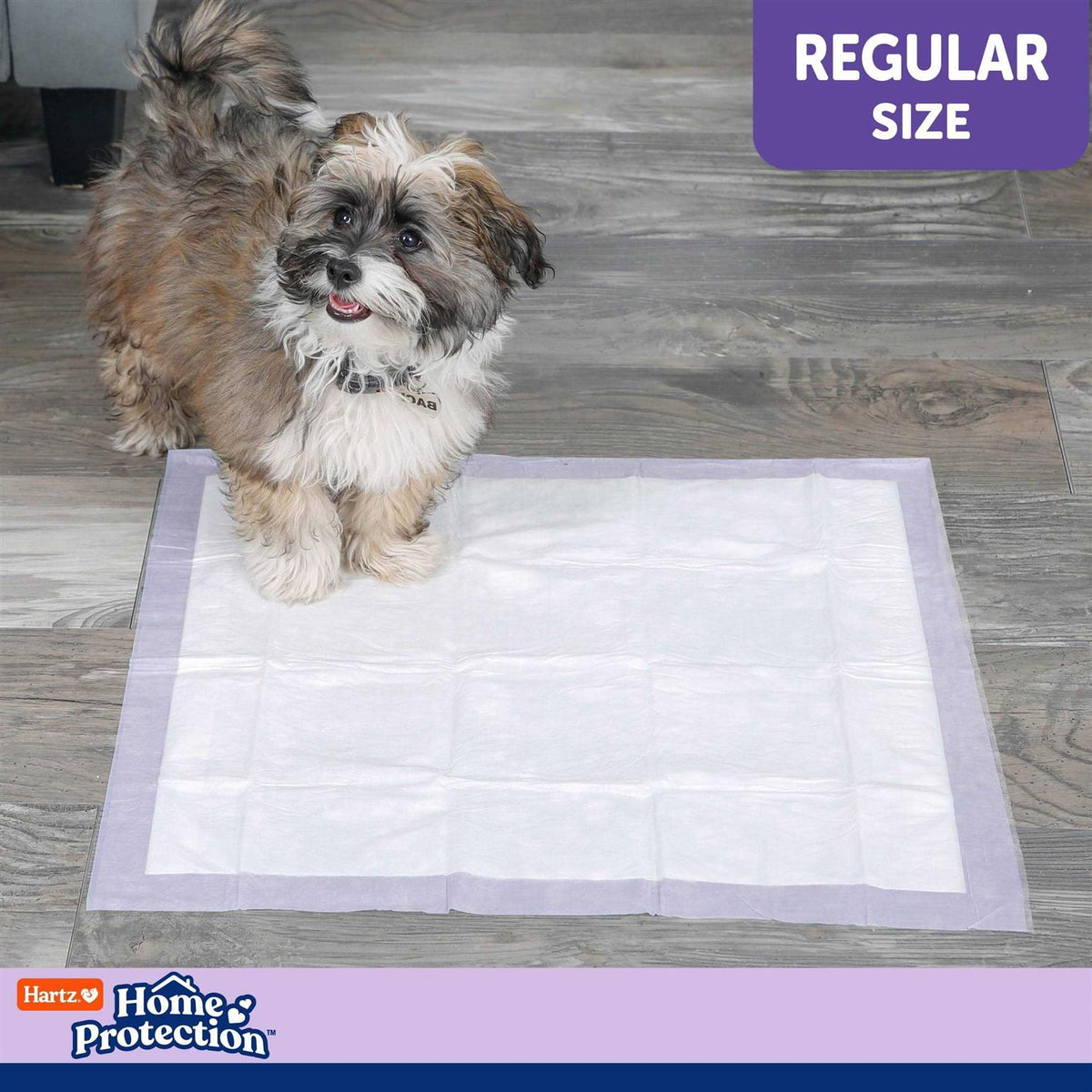 Lavender Scent Odor Eliminating Dog Pads N695