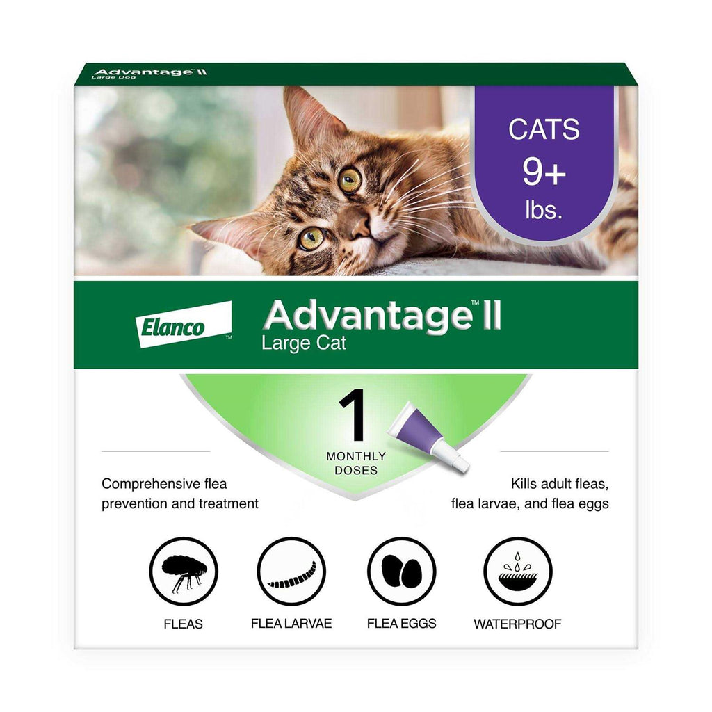 Flea Treatment Cats N2720