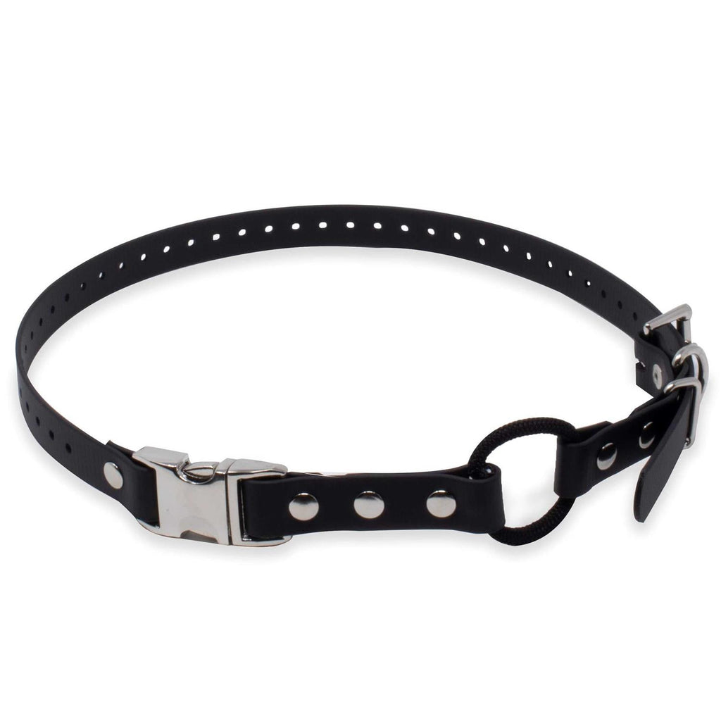 Bungee Collar I632732