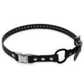 Bungee Collar I632732