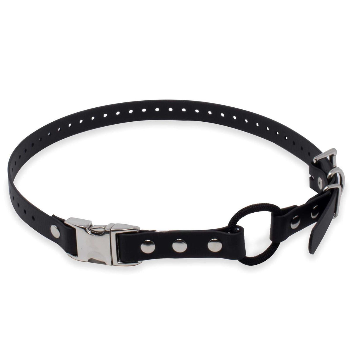 Bungee Collar I632732