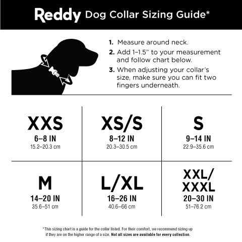 Dog Collar B55651