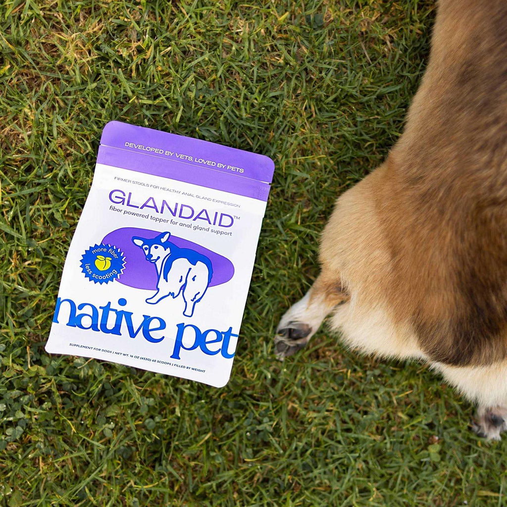 Anal Gland Supplement for Dogs D574672