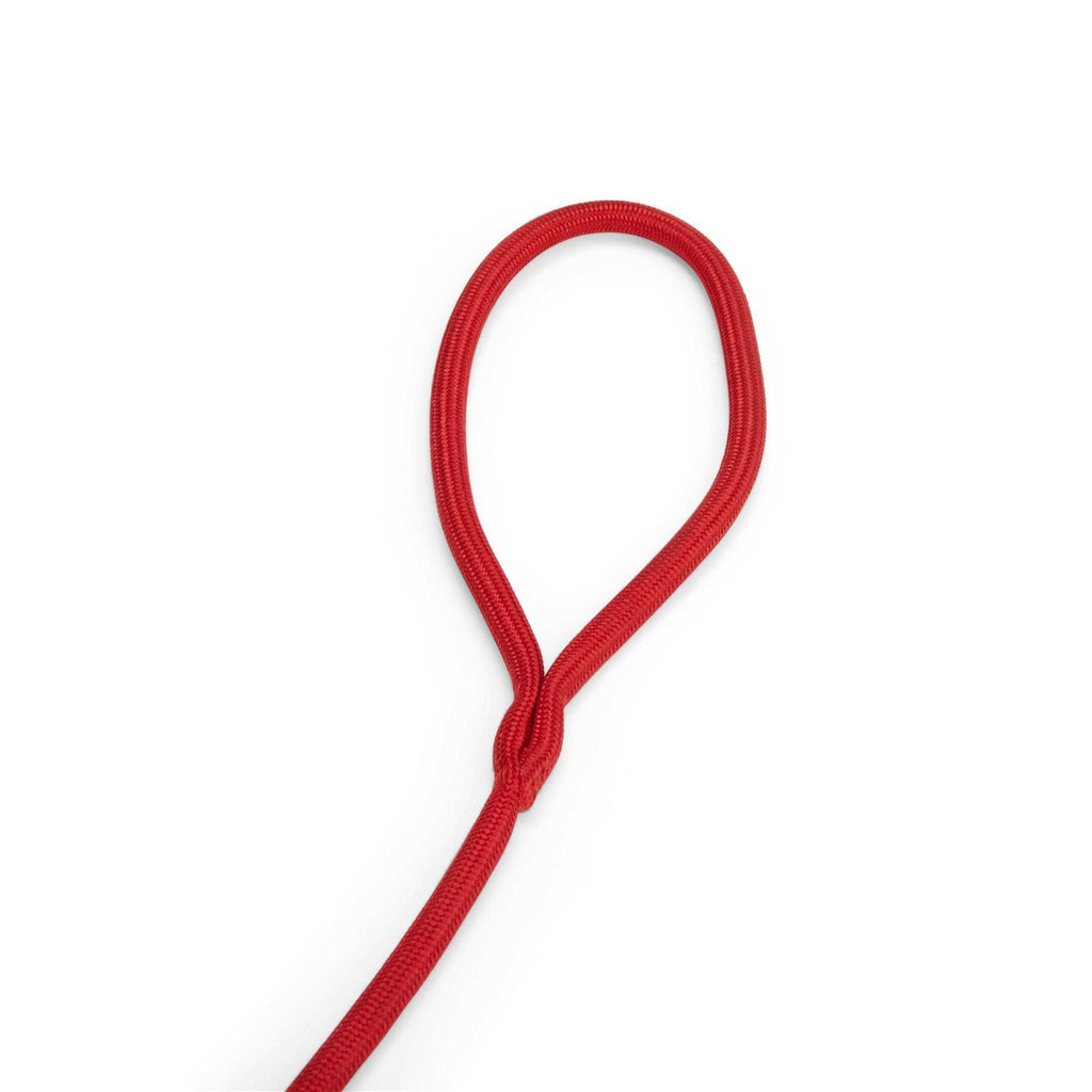 Training Rope Slip Lead for Dogs F249