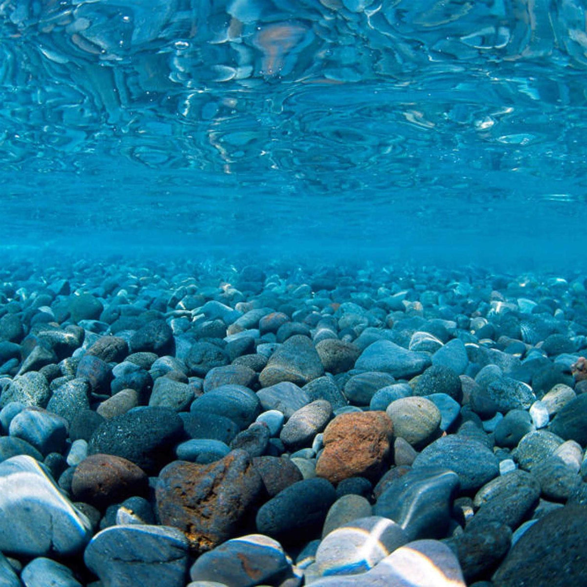 River Rock & Green Aquarium Background Decor S6474