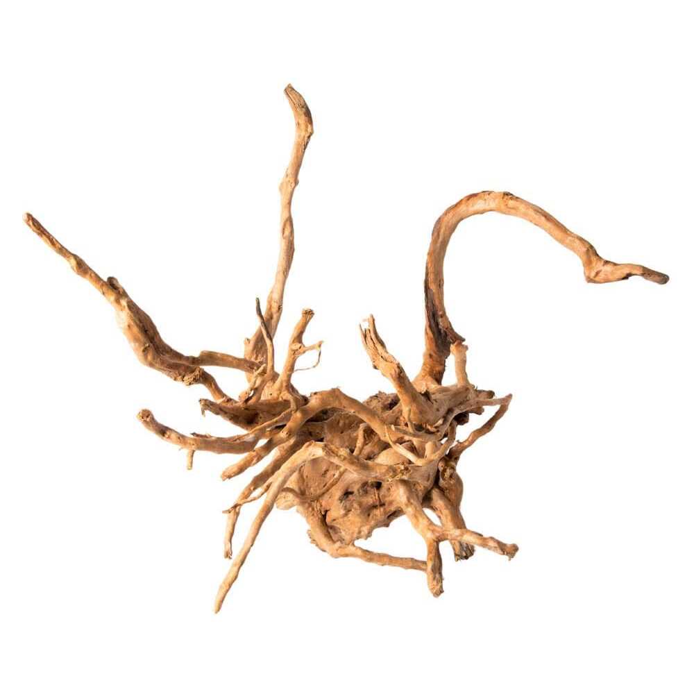 Spider Wood F70194