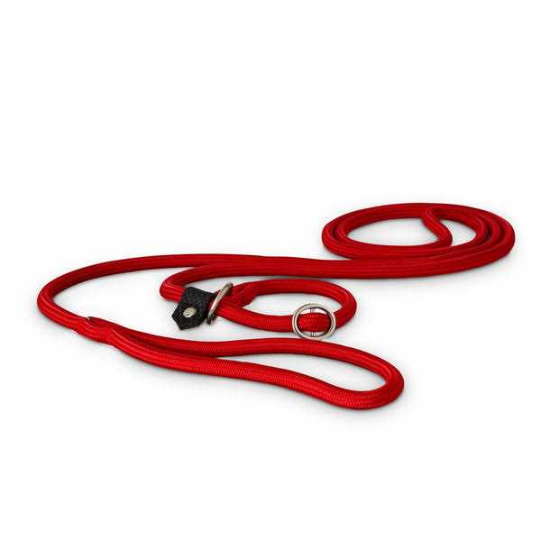 Training Rope Slip Lead for Dogs F249