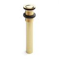 1-1/4x22 Pop-Up Drain Assembly Polished Brass G87856