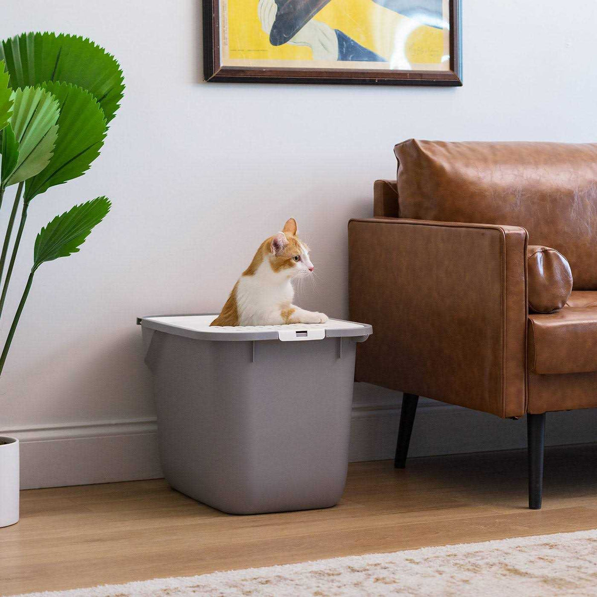 Top Entry Cat Litter Box J12059