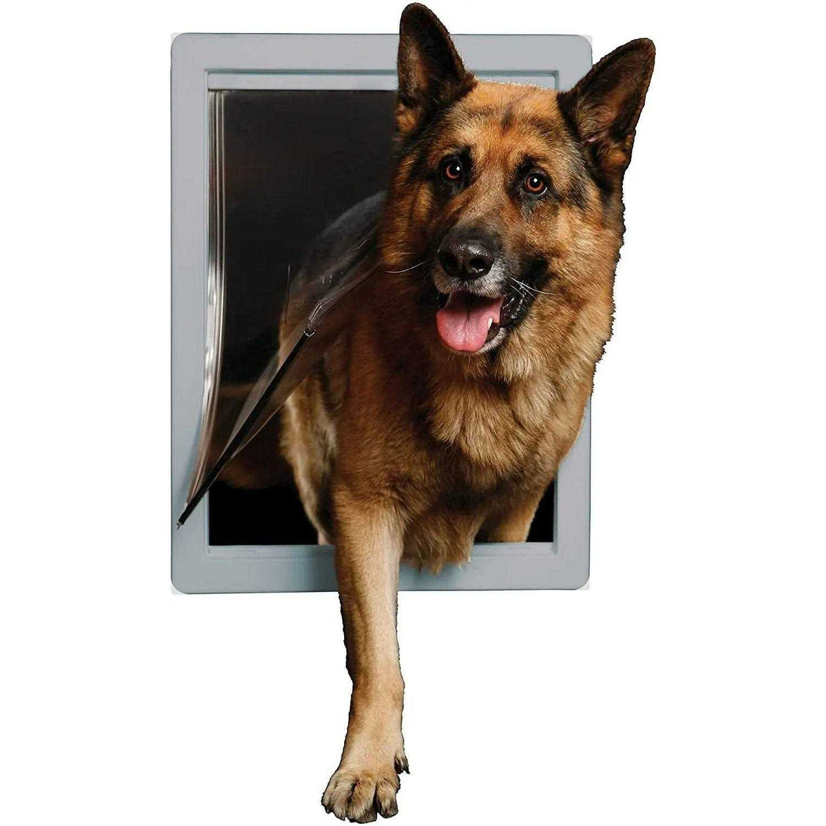 Pet Door I7688