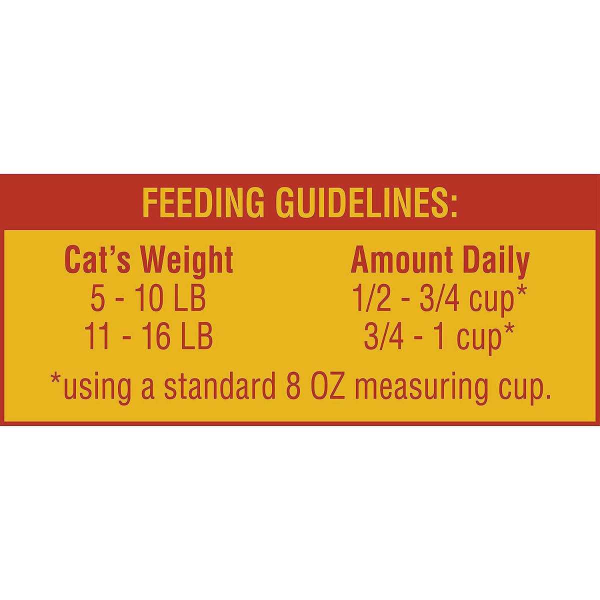 Cat Food I9925