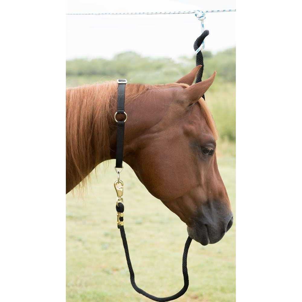Neck Collar J641