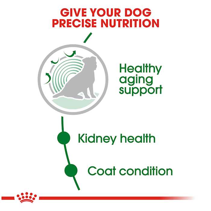 12+ Dry Dog Food P435