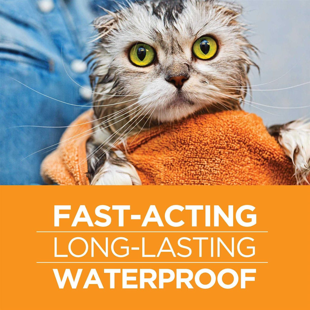 Flea and Tick Prevention for Cats E4741