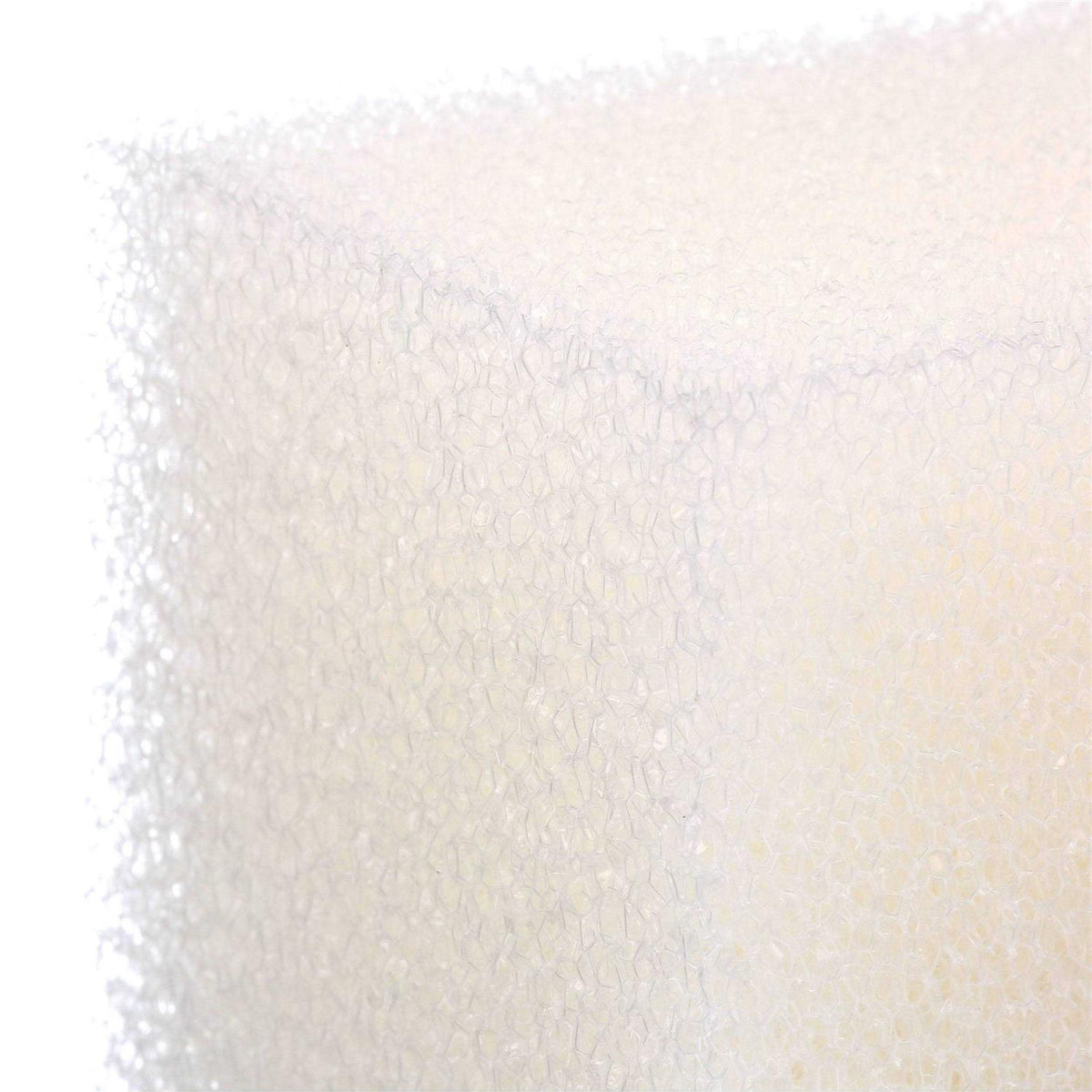 Foam Filter Insert C7016