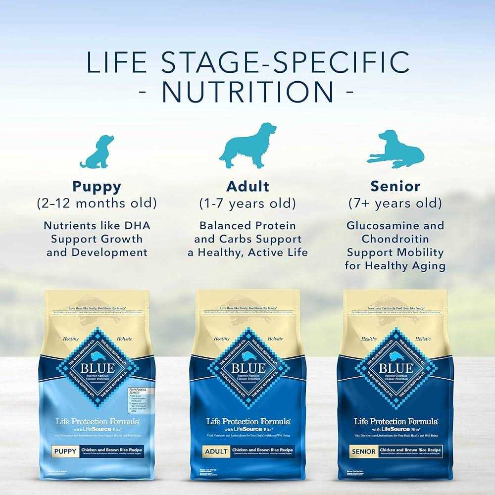 Adult Dry Dog Food X57578