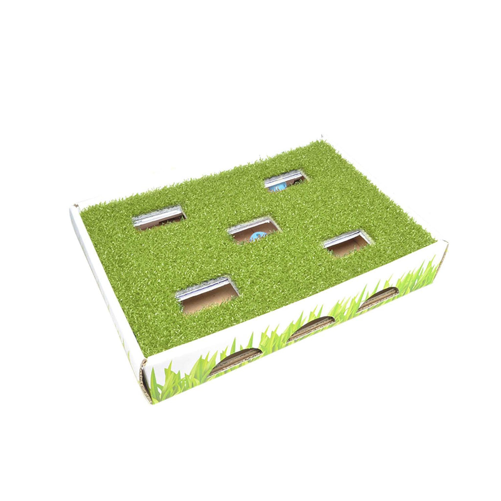 Grass Patch Cat Toy T5551