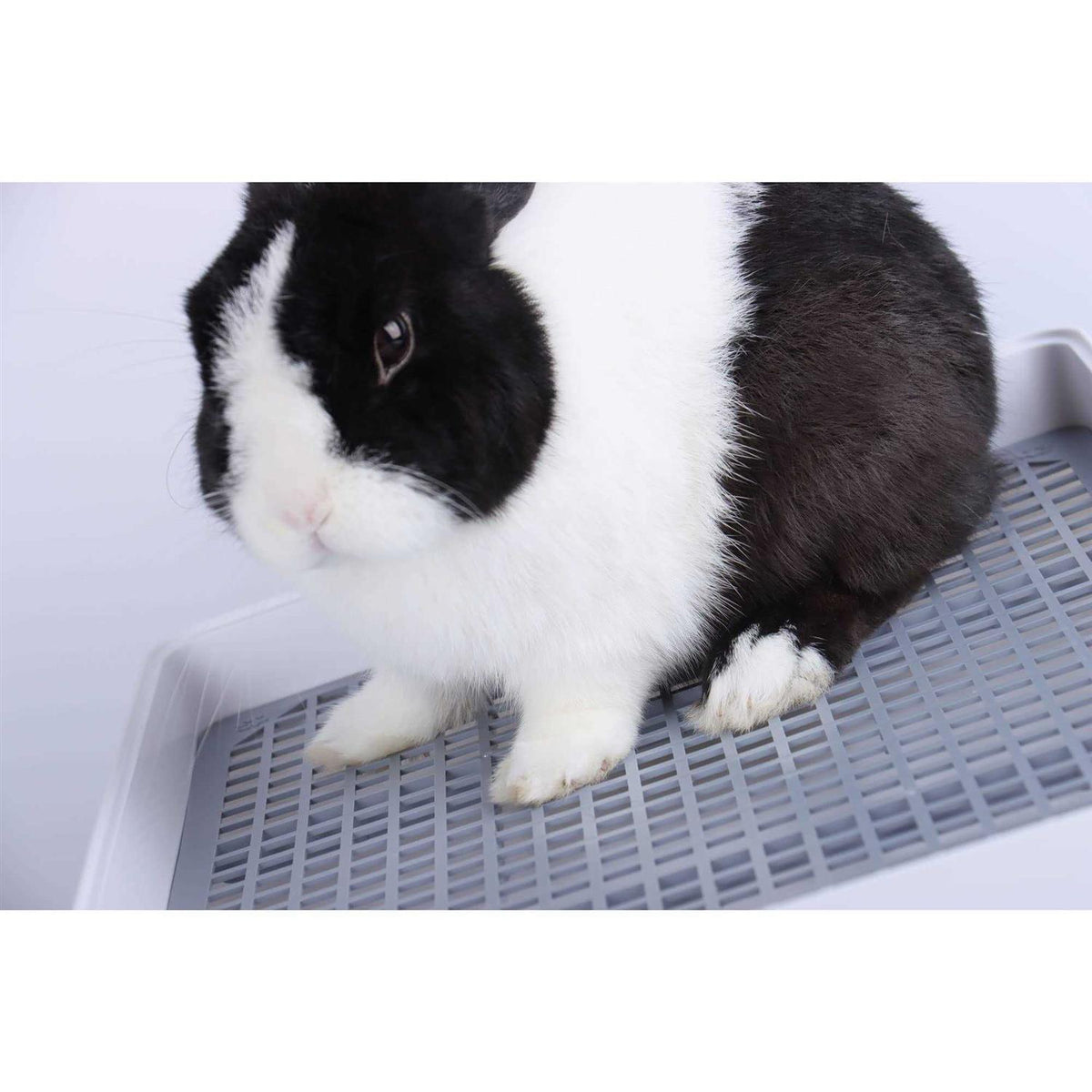 Rabbit Litter Box with Grate D4153