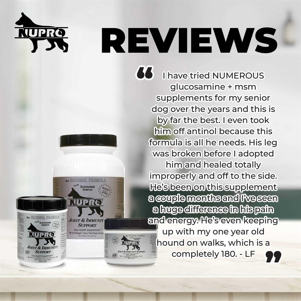 Joint & Immunity Support Dog Supplement Q346